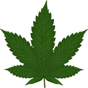 cannabis-leaf-md