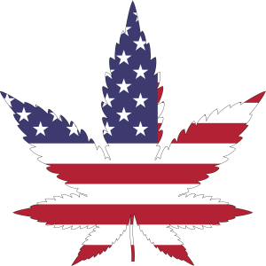 american-flag-marijuana-leaf-vector-clipart